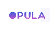 OPULA INFOTECH