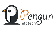 Pengun Infotech