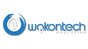 Wokontech IT Solution